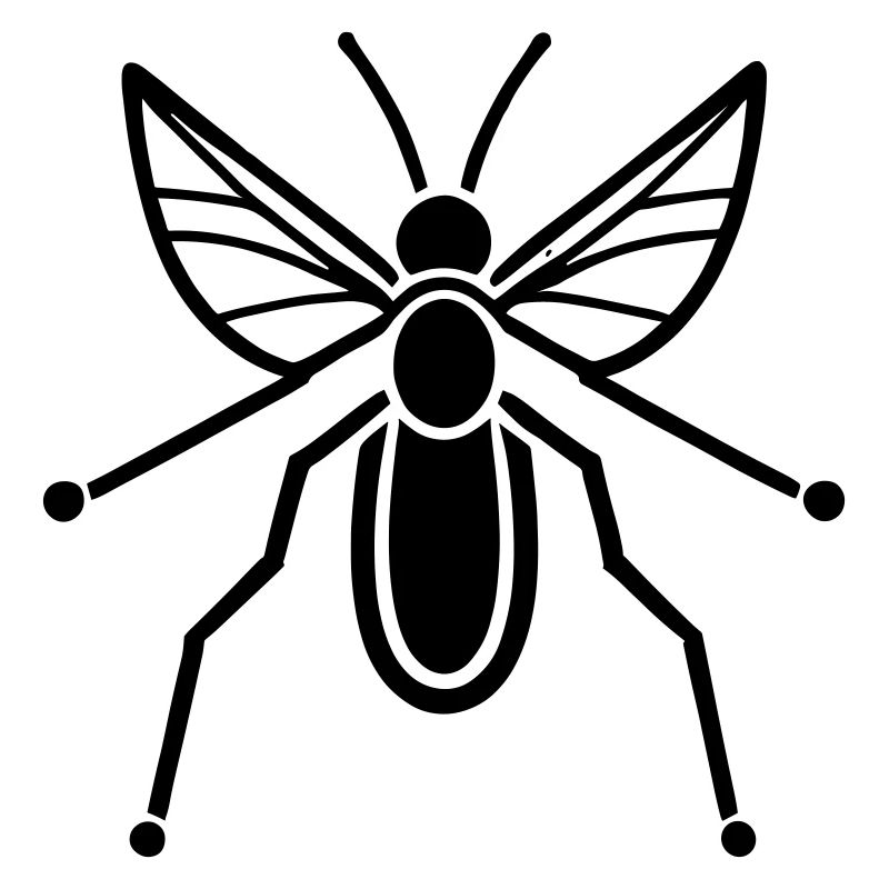 Mosquito