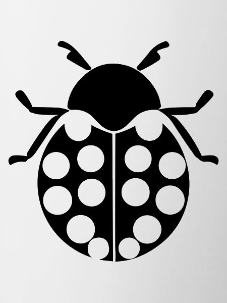 Ladybug