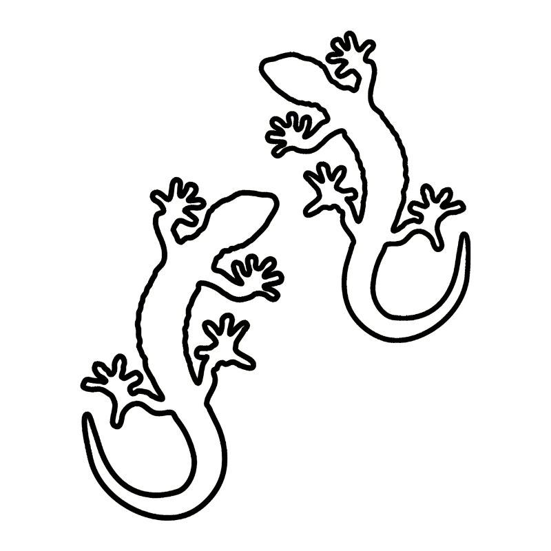 Gecko Deux
