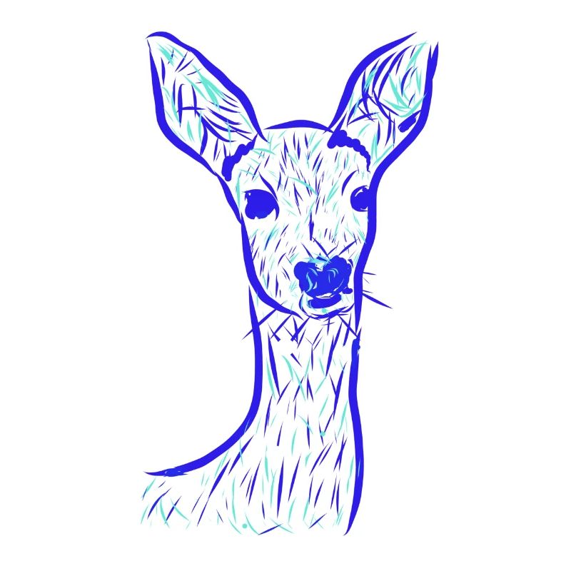 Roe deer