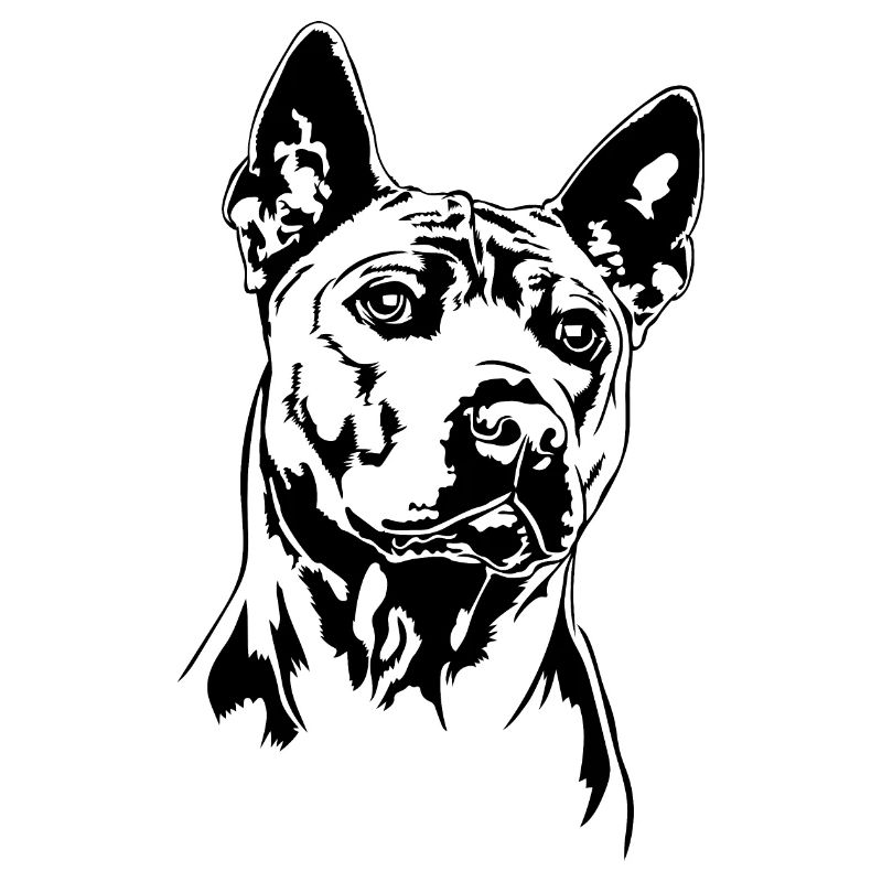 Thai Ridgeback Portrait Chien Chiens Wilsigns