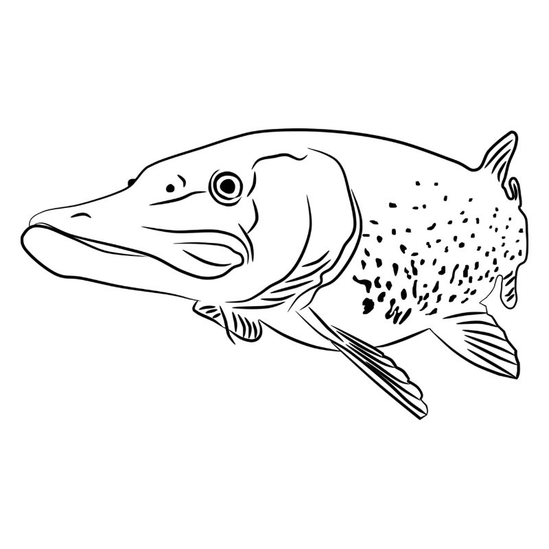 Pike linear