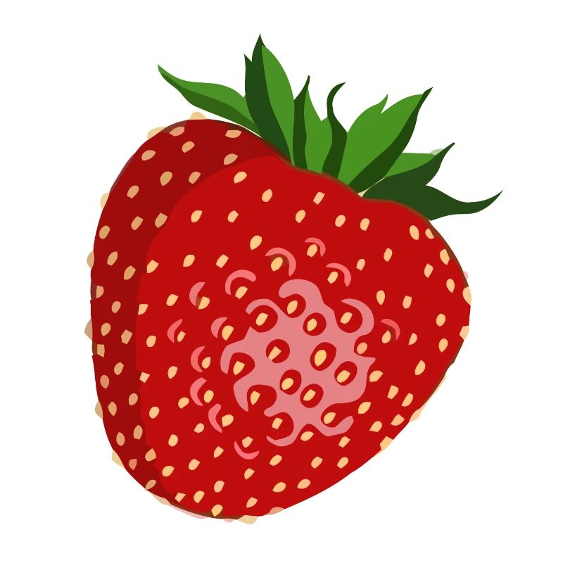Erdbeere Frucht Sommer