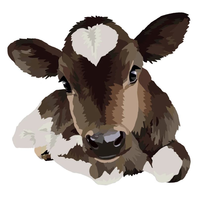 Petite vache allongée