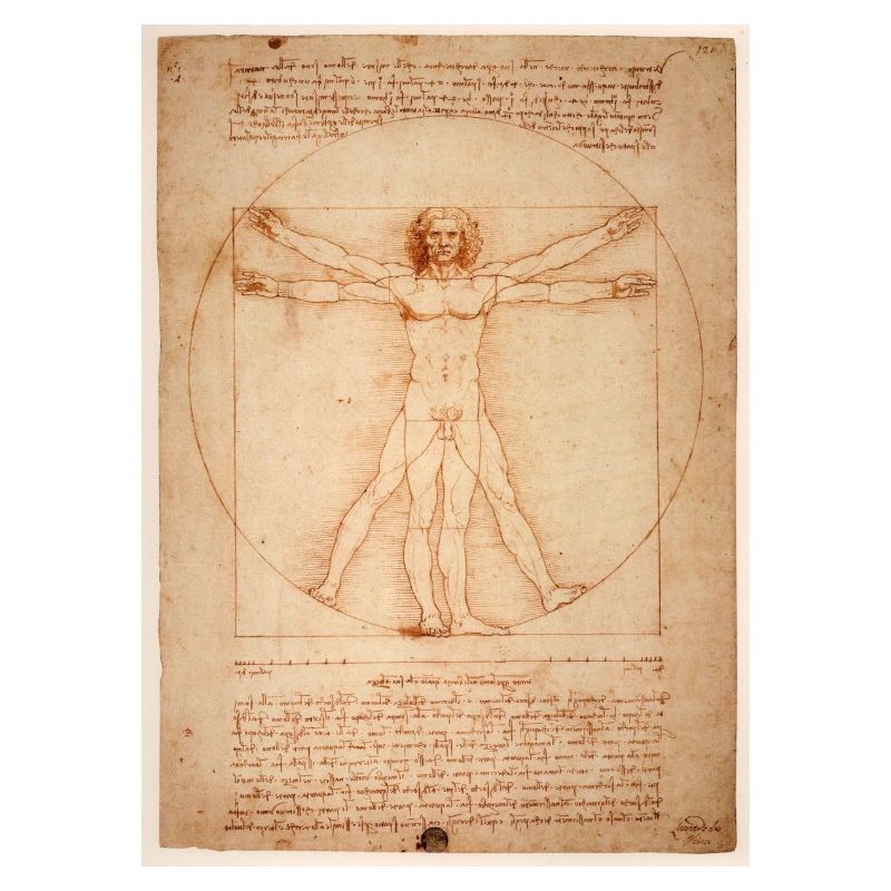 leonardo da vinci human