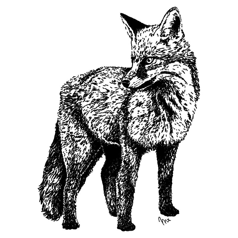 Fuchs