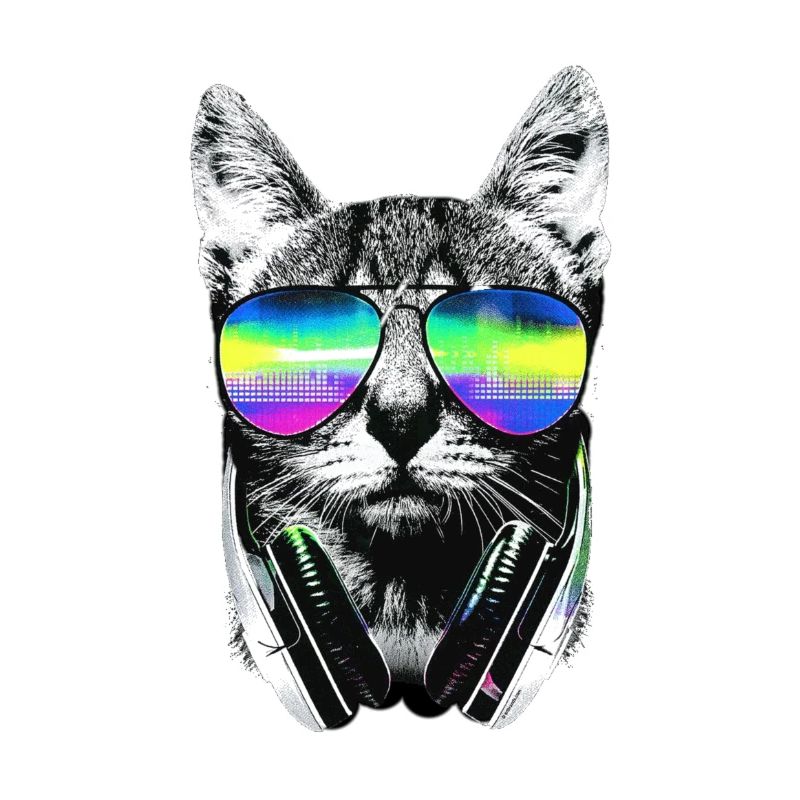 Cool cat