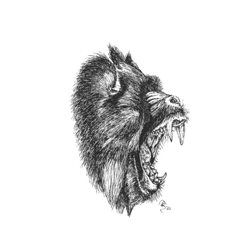 Mandrill