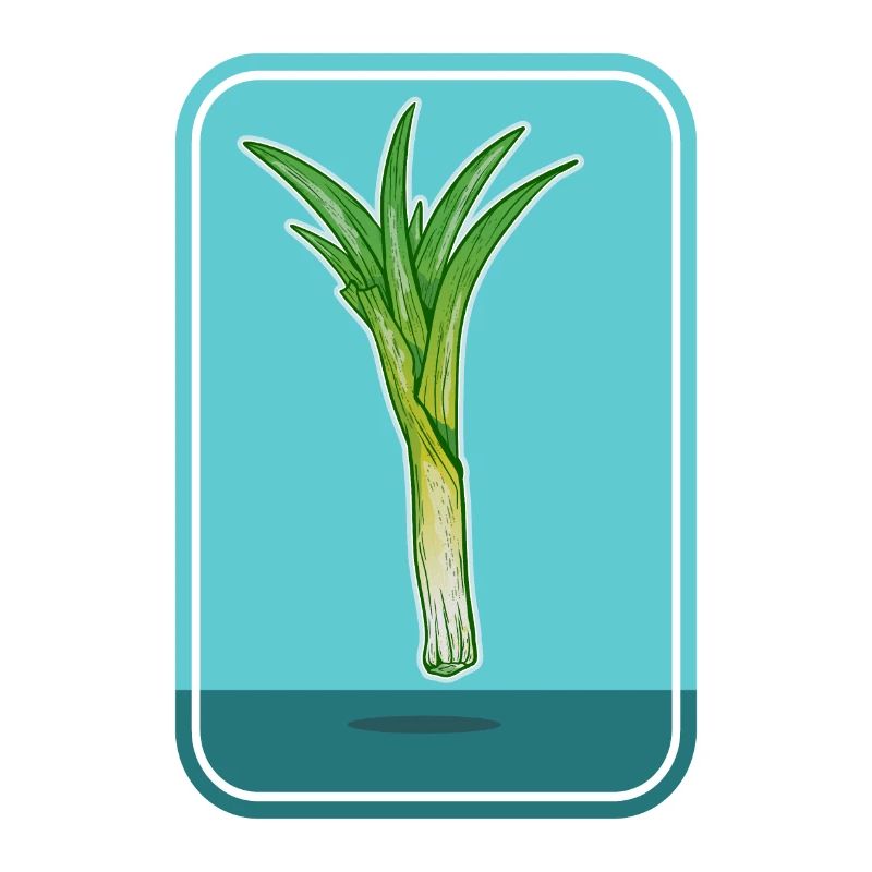 Leek Vegetable Plant