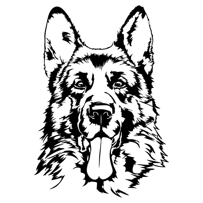 BERGER ALLEMAND - GERMAN SHEPHERD Wilsigns