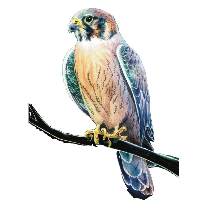 Birdie