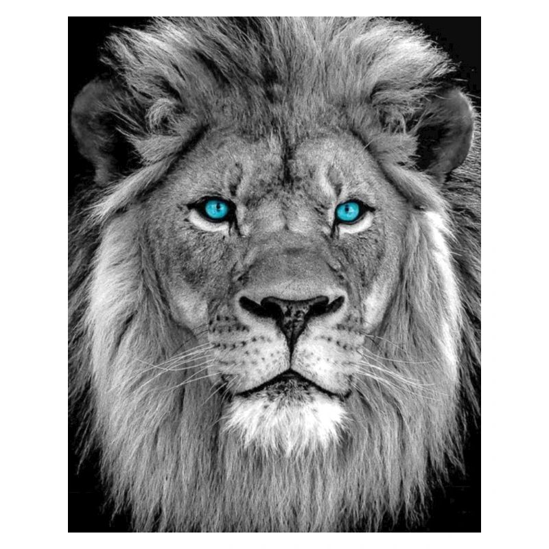 LÖWE MIT BLAUE AUGEN