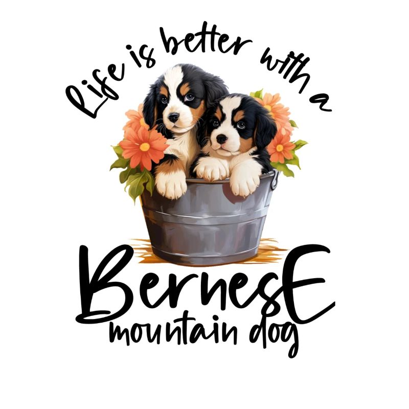 Bouvier bernois