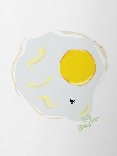 FRIED EGG v fly