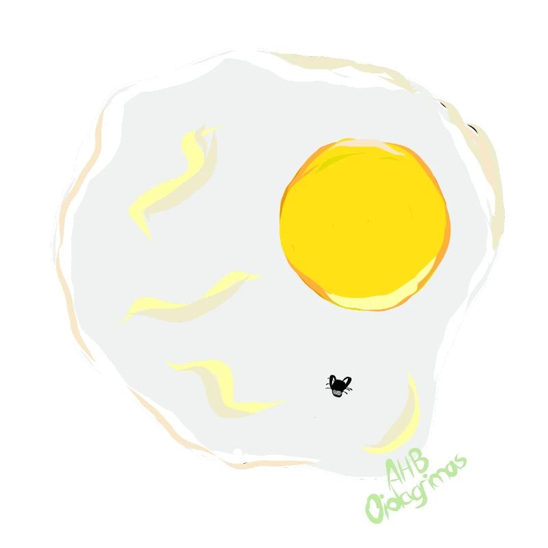 FRIED EGG v fly