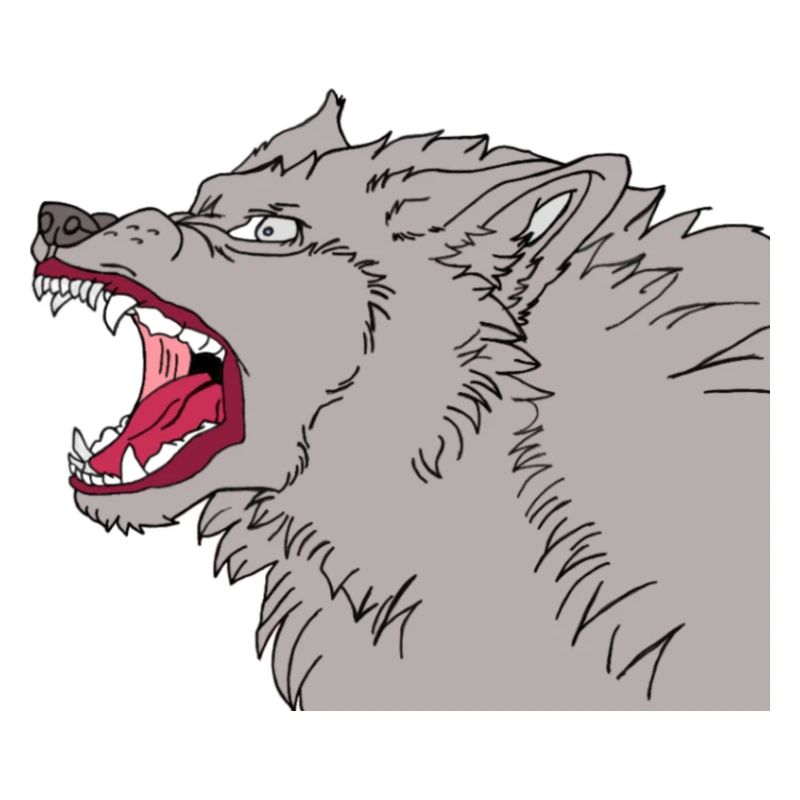 Wild wolf