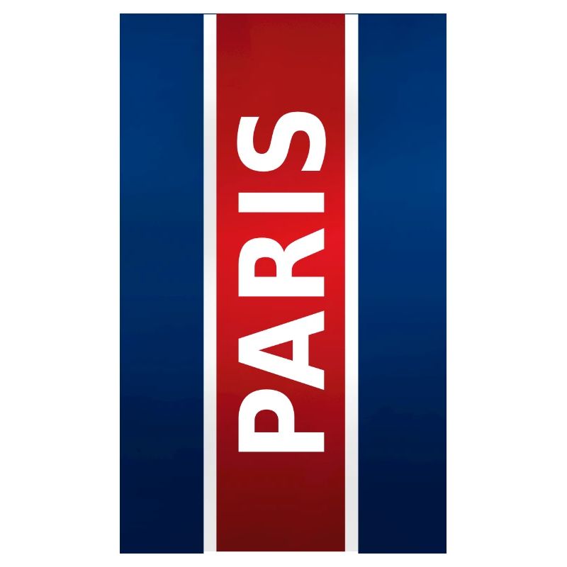 Coque BigVert Paris