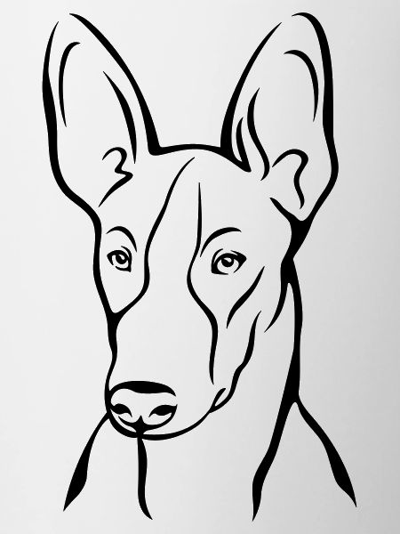 Podenco