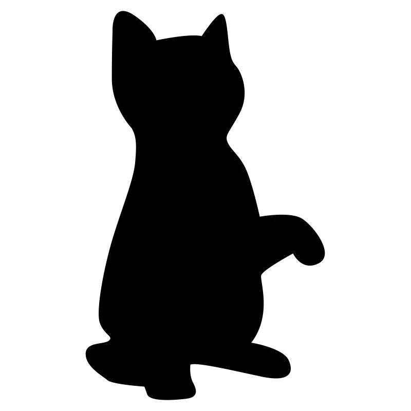 cat kitten