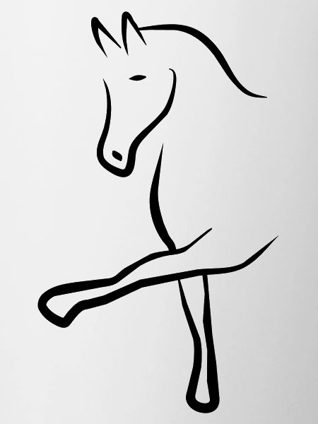 dressage