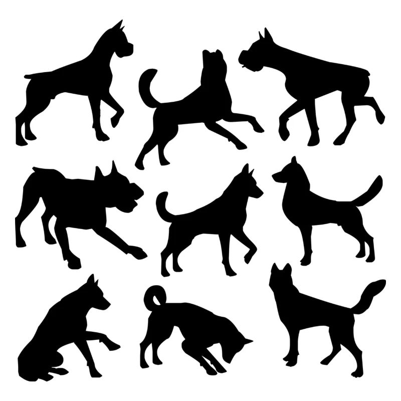 canine