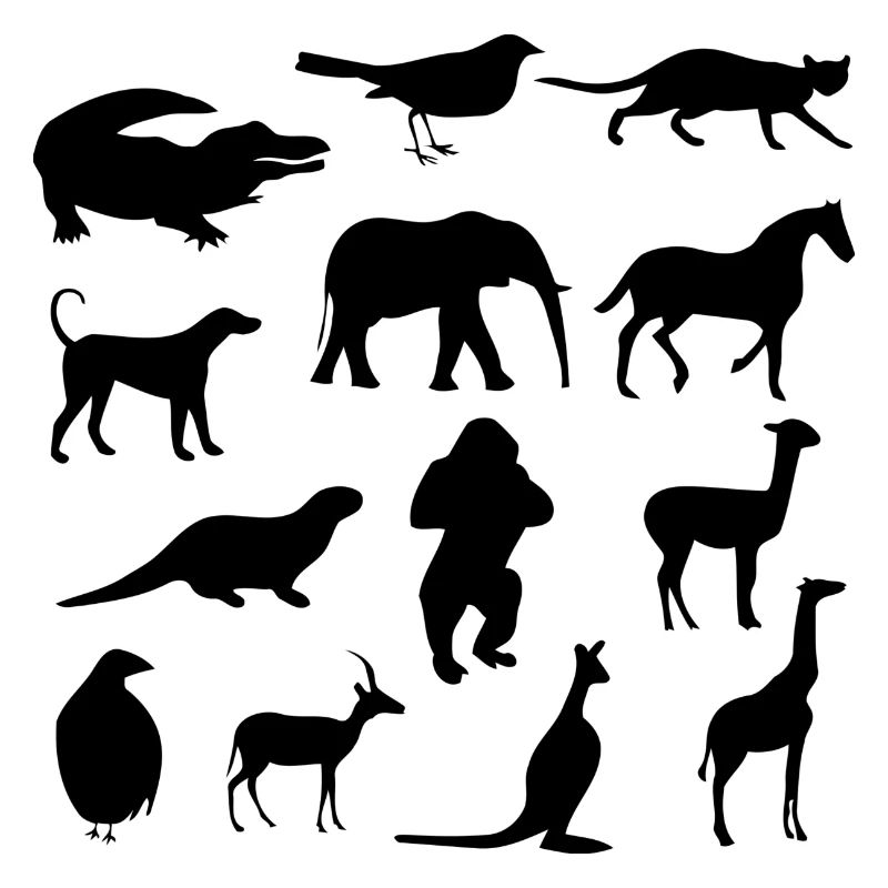 Wild animals