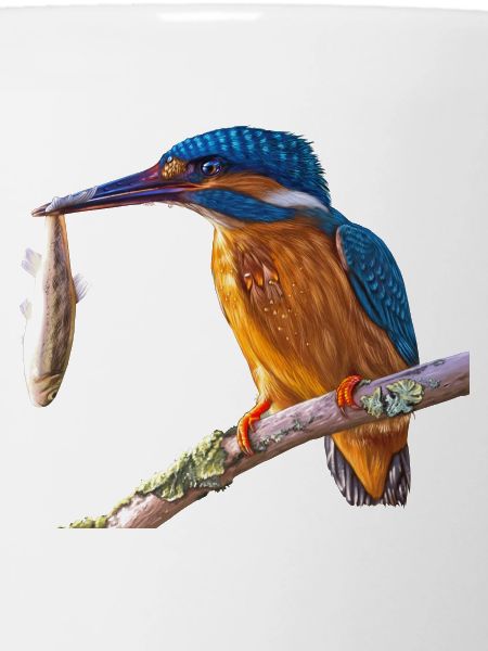 kingfisher kingfisher