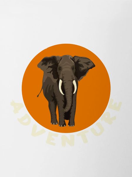 Aventures Afrique
