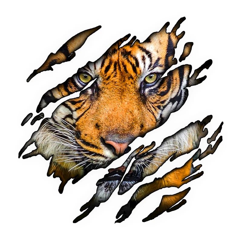 Tiger in mir