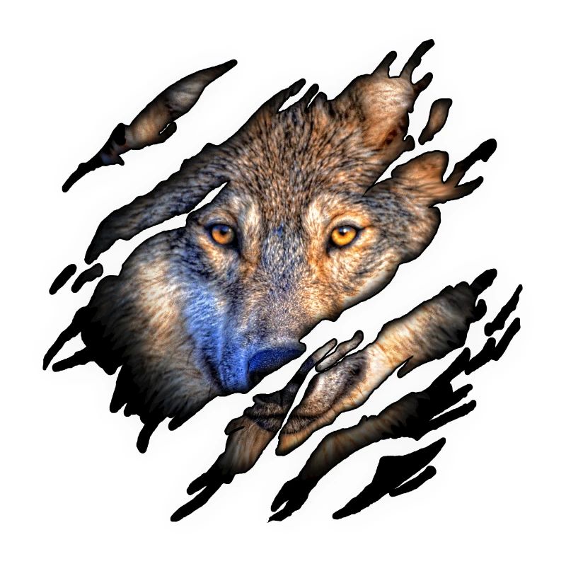 Wolf 2 in mir