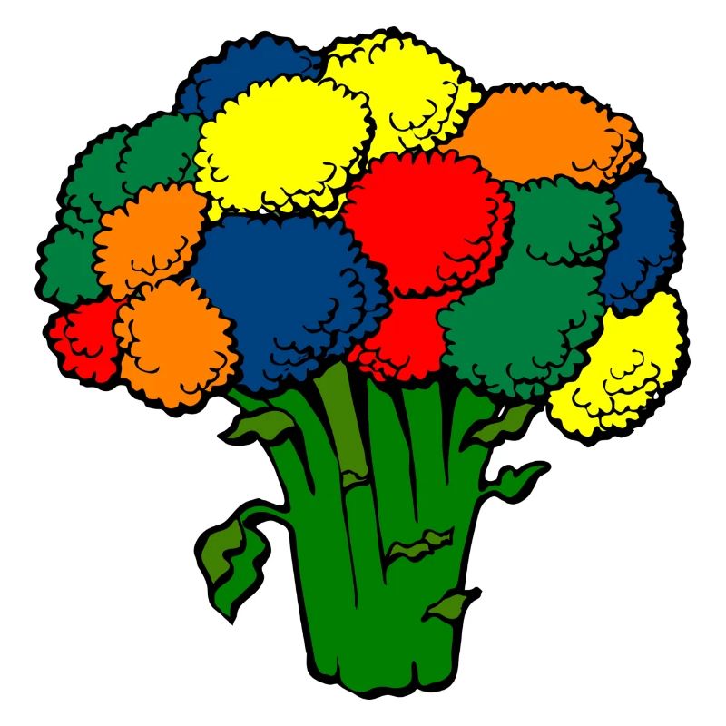 broccoli broccoli veggie gemuese vegetables13