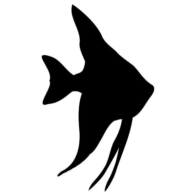 scalaire