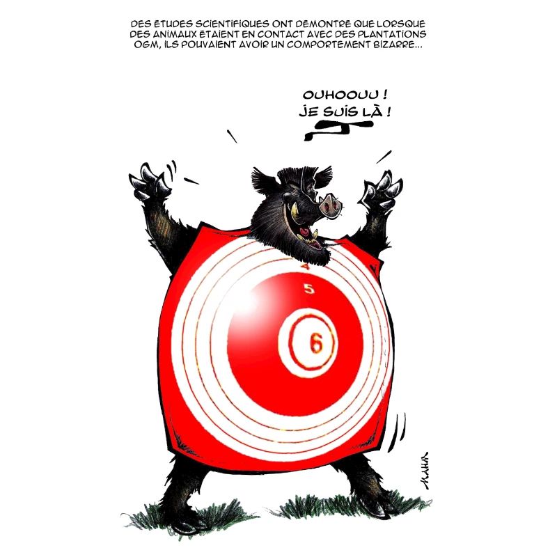 Schwein Bizarre