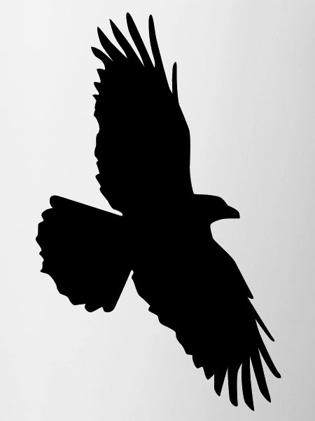 Rabenflug