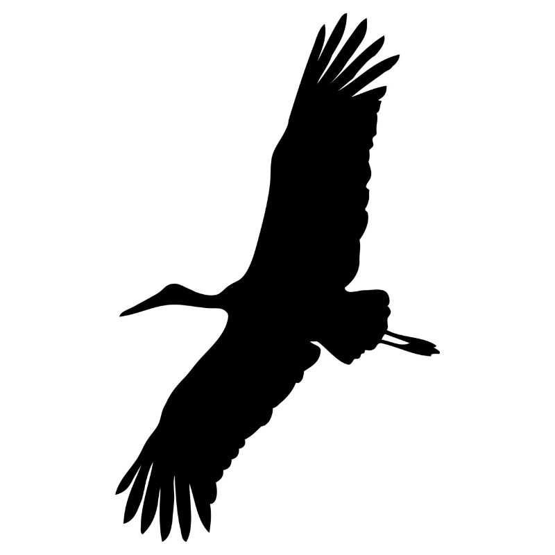 stork