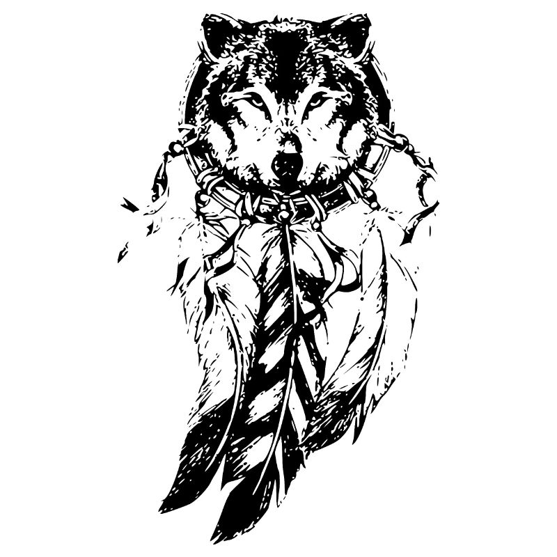 Wolf im Traumfänger, Federn