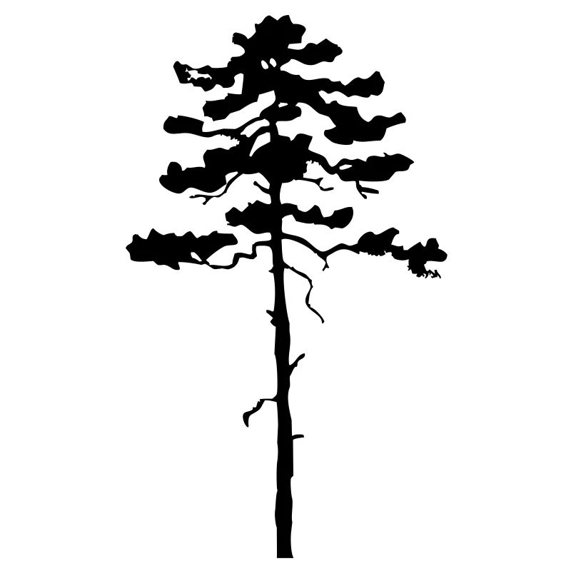 Tree Pine