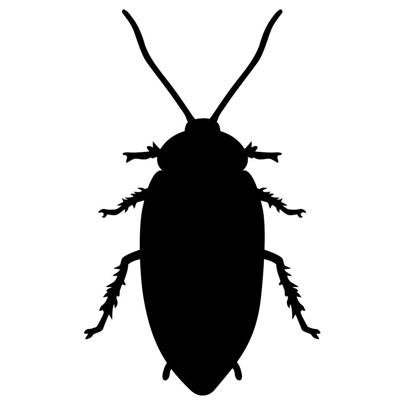 Cockroach