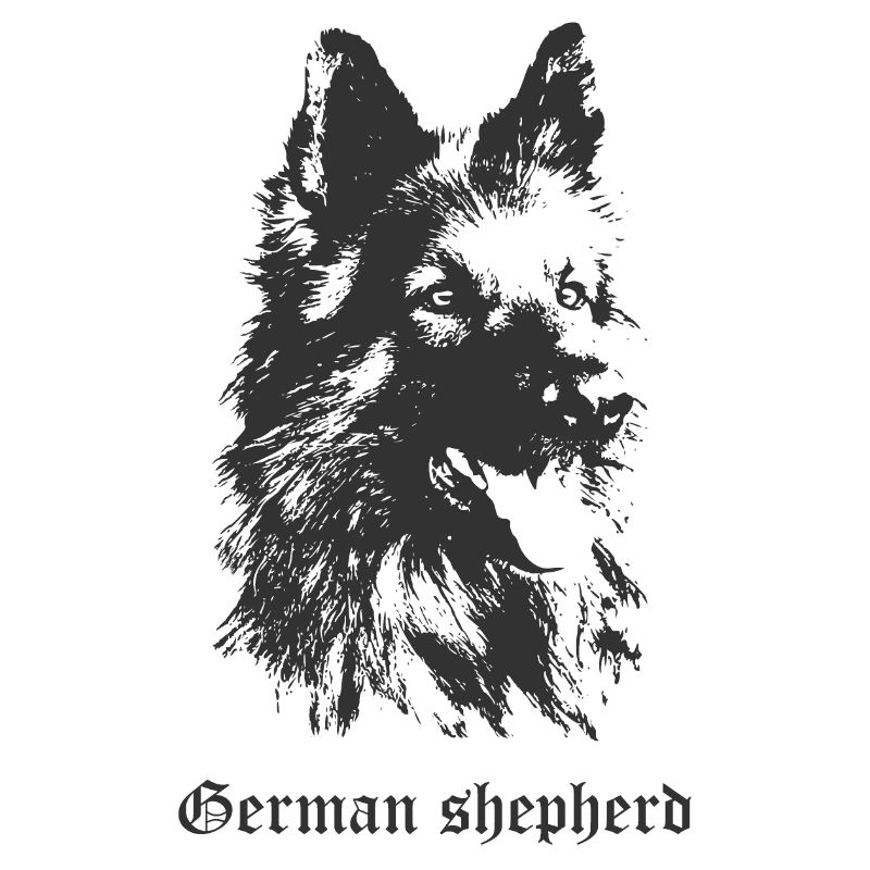 German shepherd dog