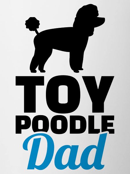 Toy Poodle