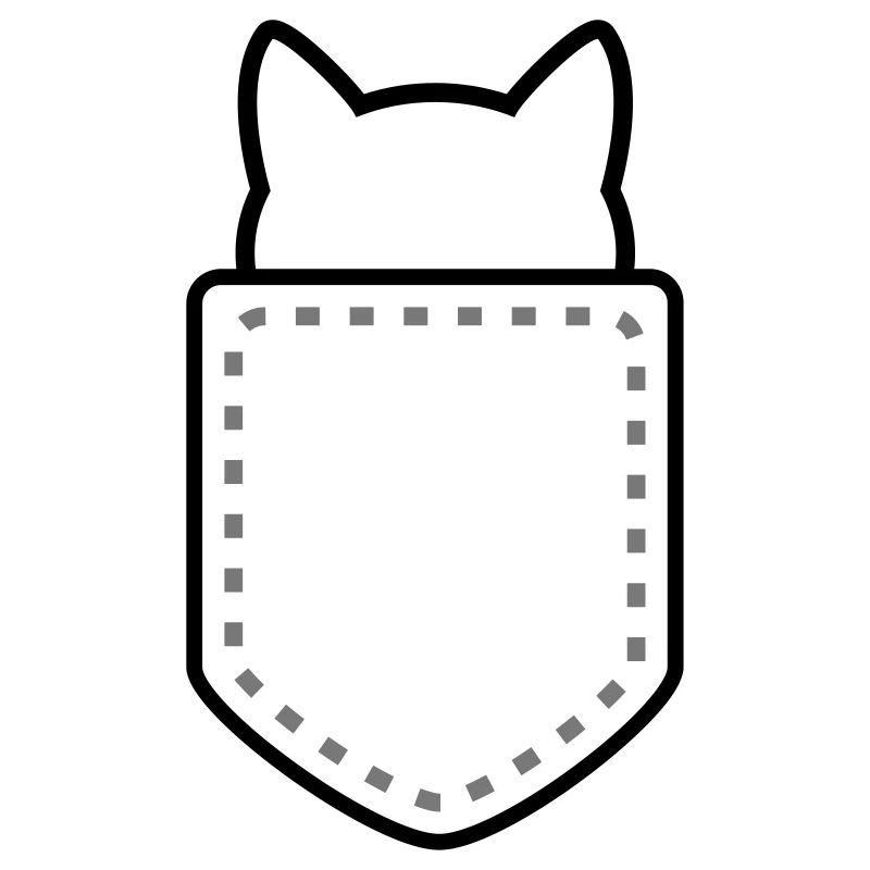 Chat dans une poche