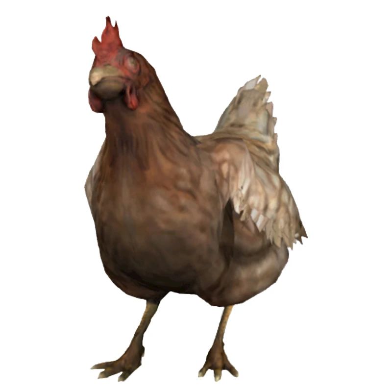 Chiken CS:GO