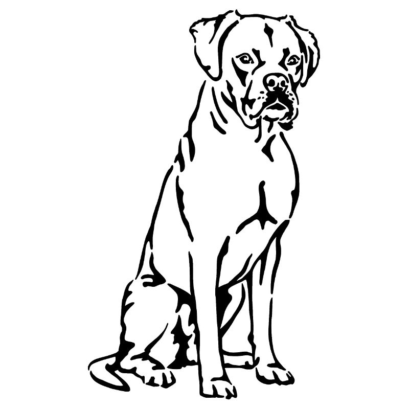 Boxer