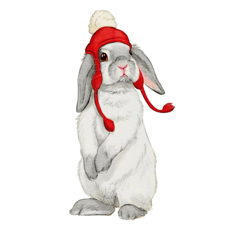 Winter rabbit