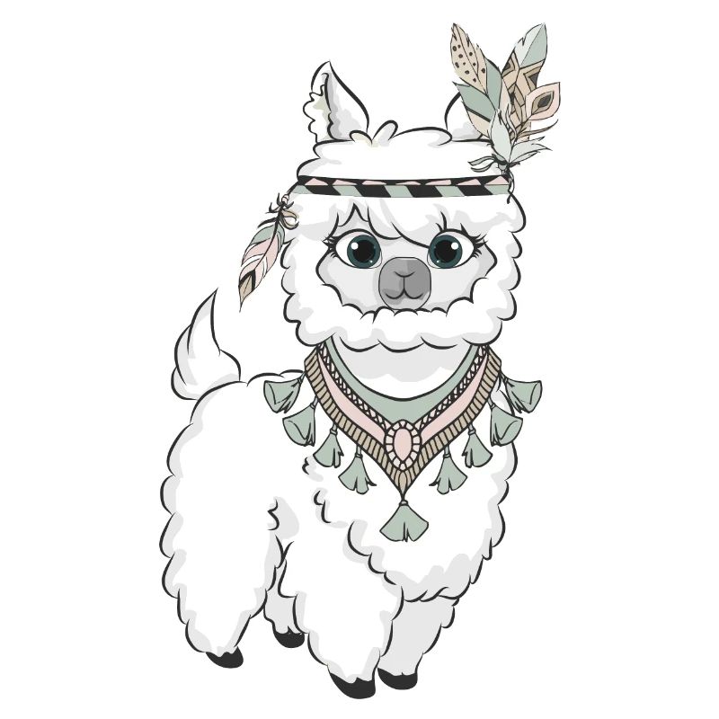 Alpaca boho feathers