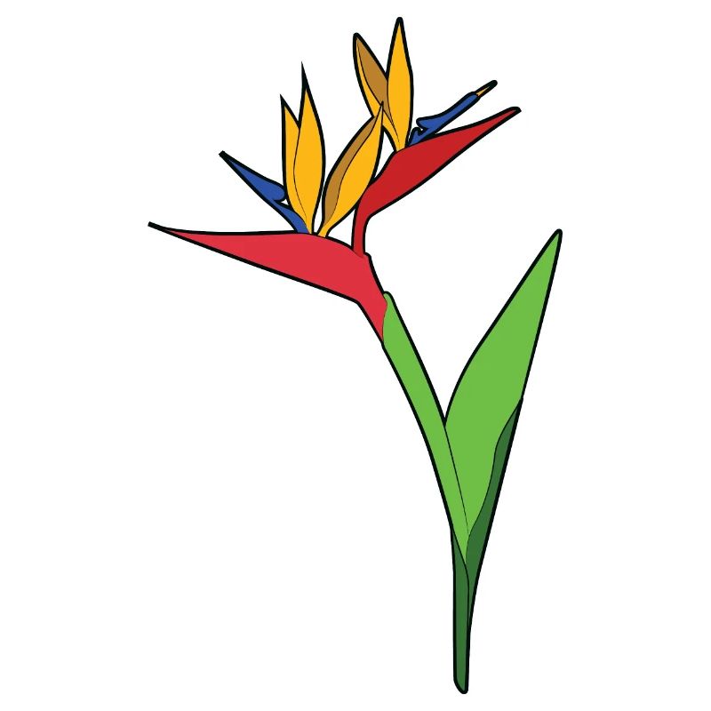 Fleur d’oiseau de paradis