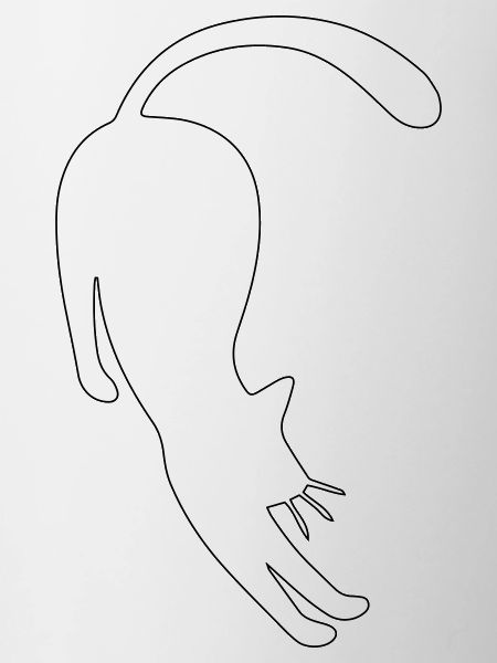 cat