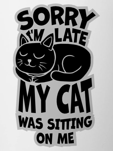 sorry cat was sitting