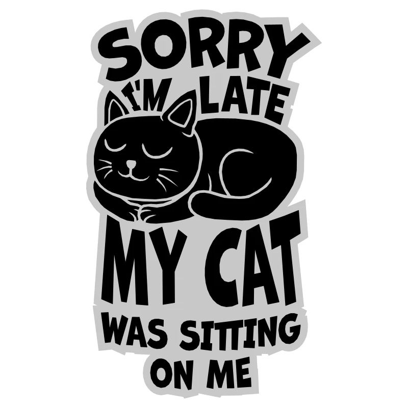 désolé chat était assis