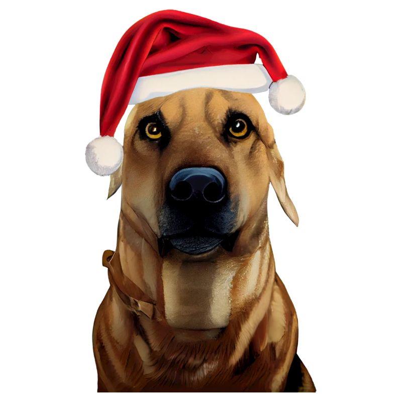 Black Mouth Cur Noël